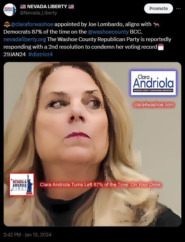 Clara Andriola Washoe County Democrat